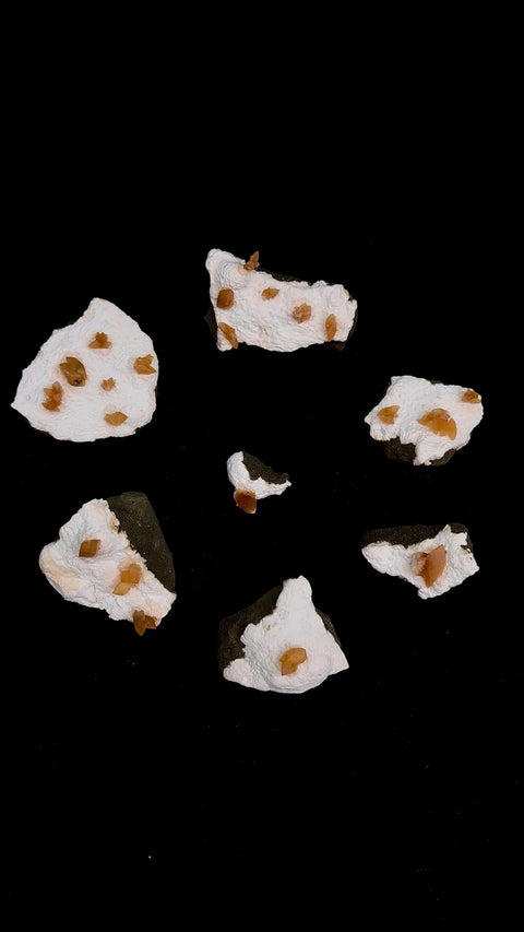 Rare White Gypsum with Golden Calcite Flowers Formation Lot1